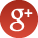 Google+